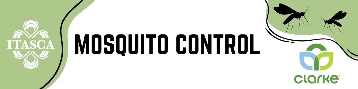 Website Banner - Mosquito Page